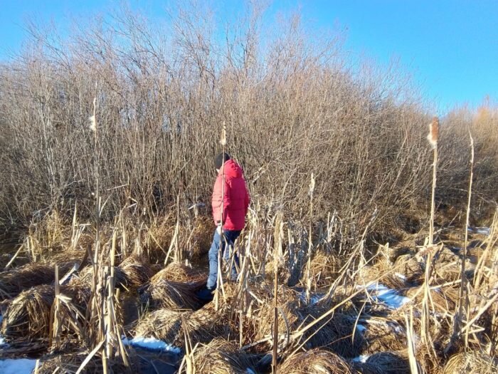    В Оренбургской области волонтеры снова будут искать без вести пропавшего Василия Хабарова Андрей Севостьянов