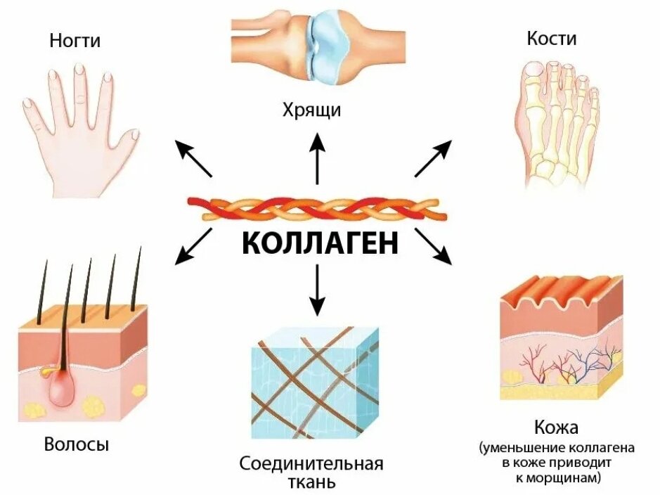 Есть вещества, которые помогают подтянуть кожу во время похудения. Они в разы повышают выработку коллагена. Нет, речь пойдёт не о витамине С, хотя он тоже помогает вырабатывать коллаген.