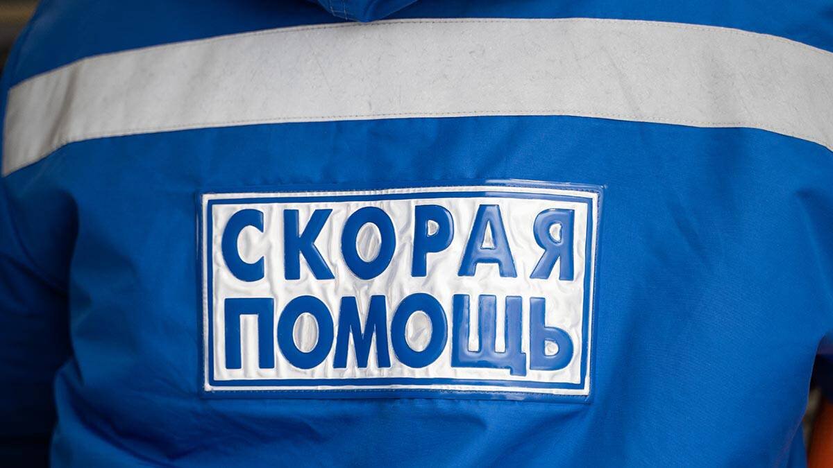    Фото: Анна Темнышова / Вечерняя Москва