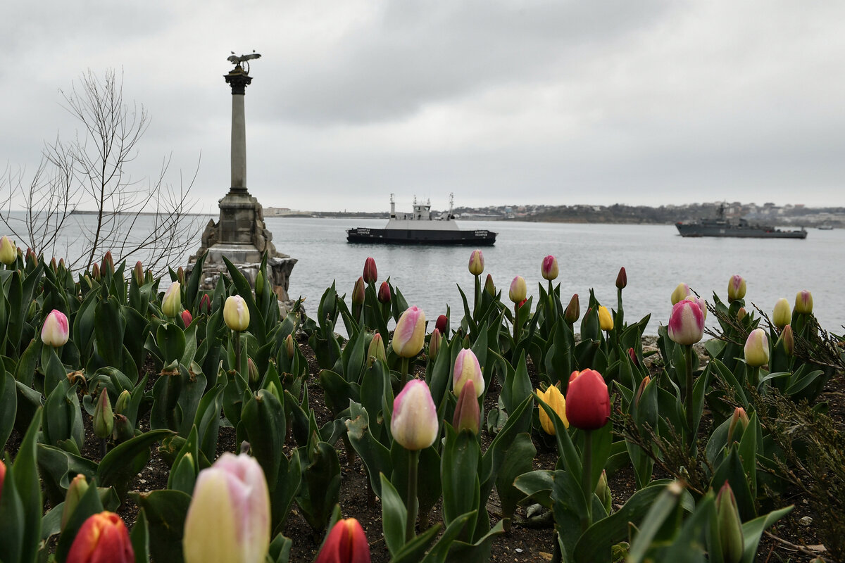     Севастополь / РИА Новости / Константин Михальчевский