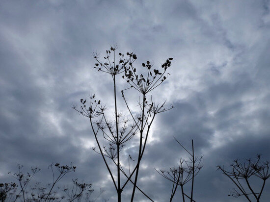     ФОТО: PIXABAY