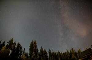    Фото: ru.freepik.com Анастасия Волова