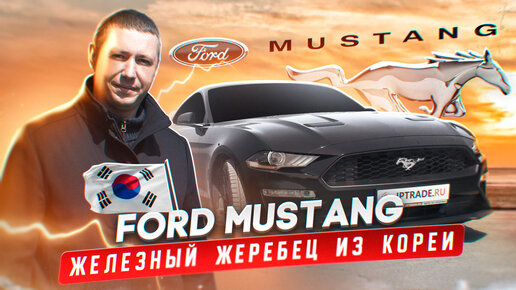 Ford Mustang обзор. Заказ авто из Кореи.