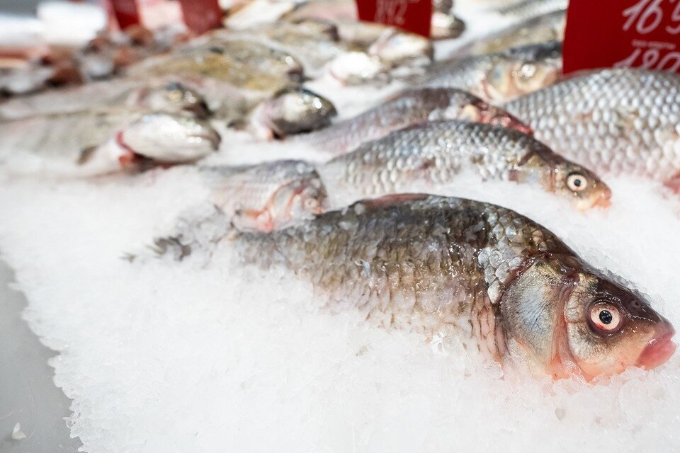     Новосибирцам объяснили, как не заразиться описторхозом от рыбы из Оби. Юлия ПЫХАЛОВА