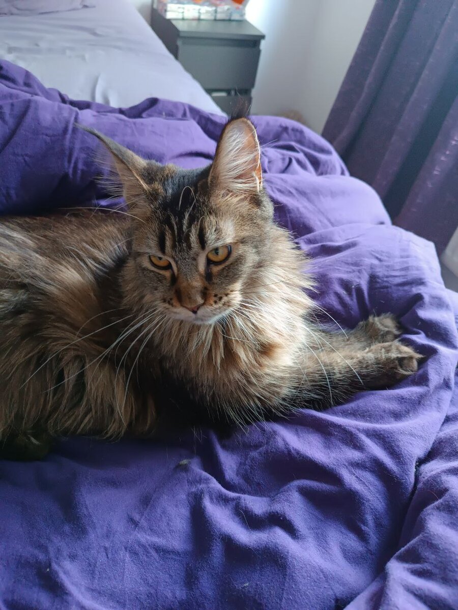 Урсула предсказывает много возмущений феминитиву в заголовке