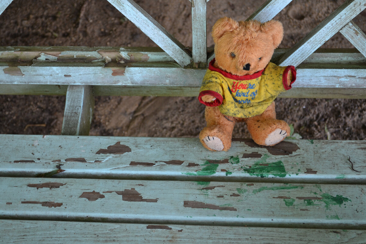 https://get.pxhere.com/photo/wood-bench-play-sweet-animal-cute-alone-bear-sitting-small-brown-dirty-lonely-toy-childhood-friend-teddy-bear-sad-single-stuffed-chernobyl-plush-stuffed-animal-cuddly-teddy-chipped-paint-691554.jpg