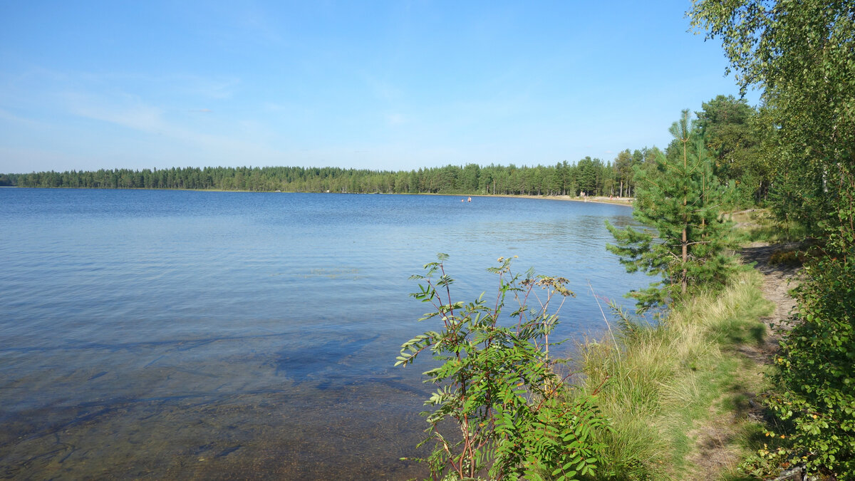 Еловое озеро Нижегородская область