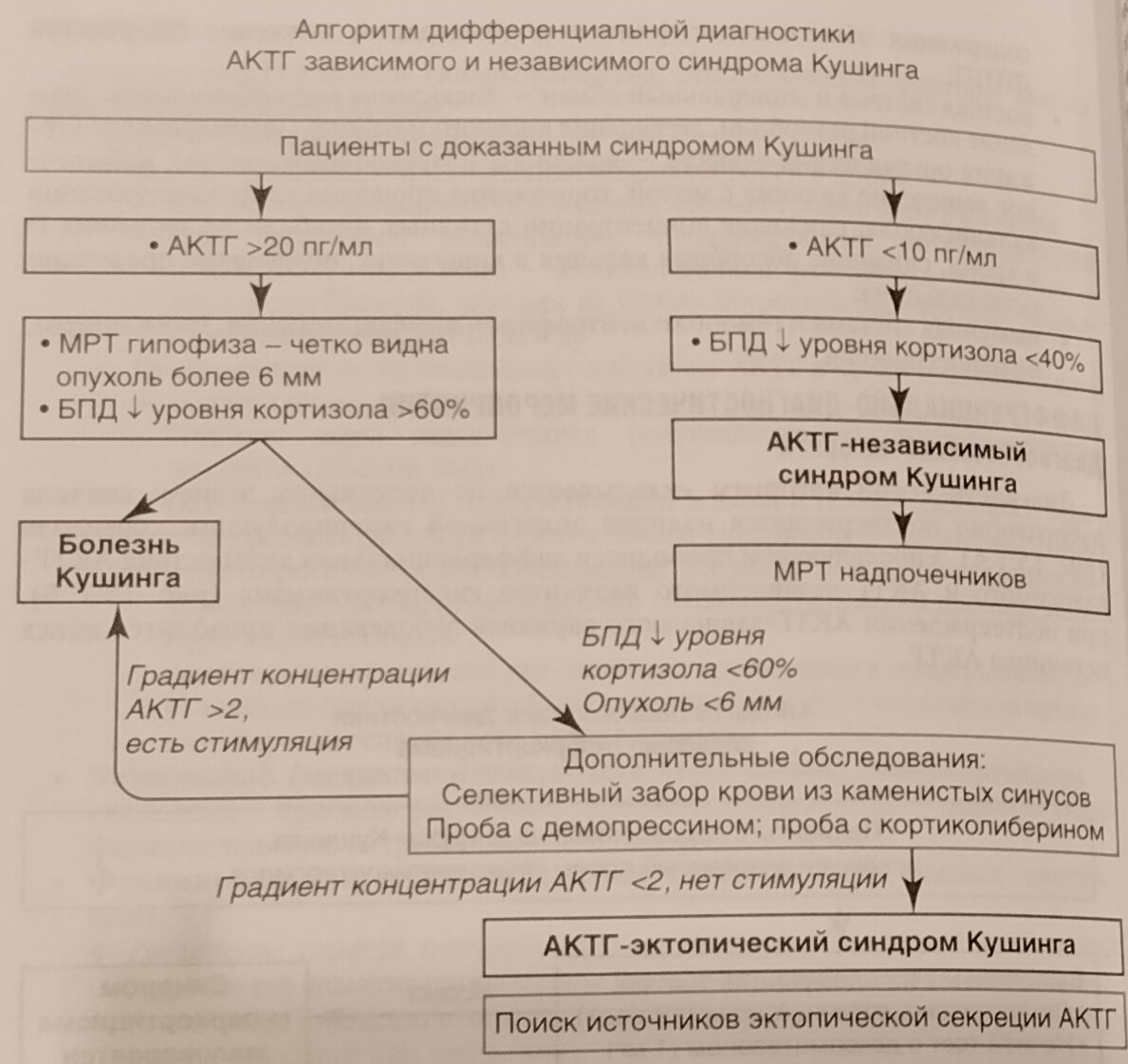 Вы точно человек?