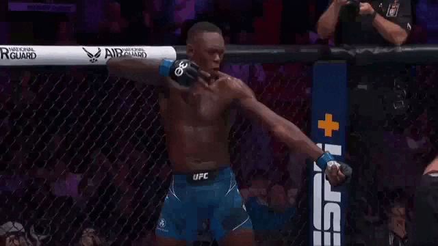 Стрелы Адесаньи