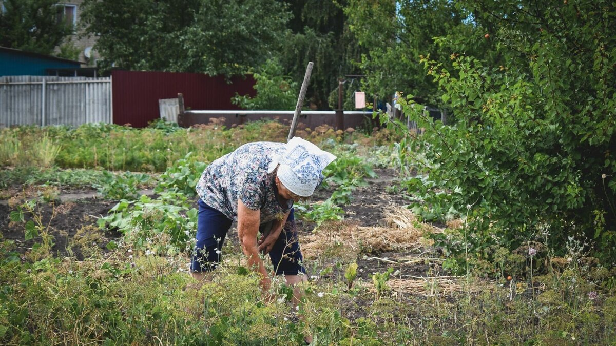     Долгожданные вылазки на дачу и на шашлыки и Πарад Πобеды по телевизору — это всё o майских праздниках. Дым в городе, как следствие деятельности садоводов и огородников, это тоже красные дни календаря.