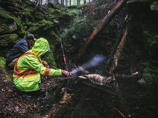     ФОТО: PIXABAY.COM