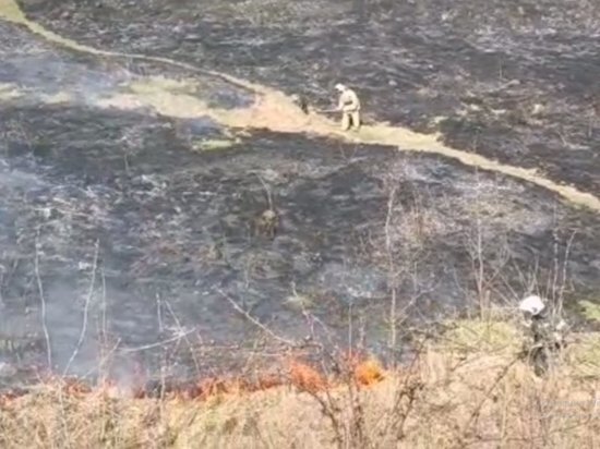     Фото: ГУ МЧС РФ по Курской области