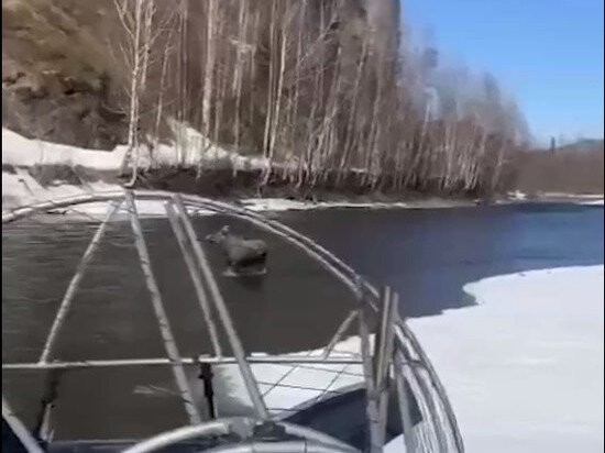     Источник: скриншот