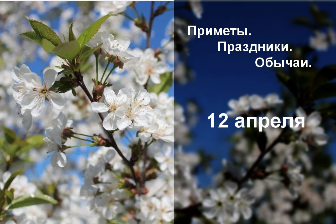 12 Апреля приметы. 12 Апреля праздники страстная среда.