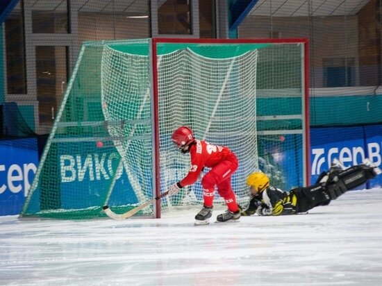     Фото: «СШОР по хоккею с мячом «Енисей»/ВКонтакте.
