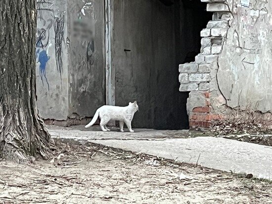     Общежитие на Заречной в Саратове. Фото: МК в Саратове