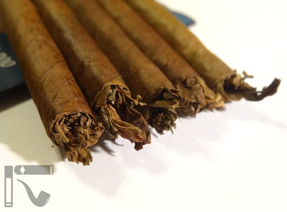 трубочку курил с турецким табачком. самокрутка для сигарет. казак с трубкой. табак трубочный из погара смесь 1. клейма.