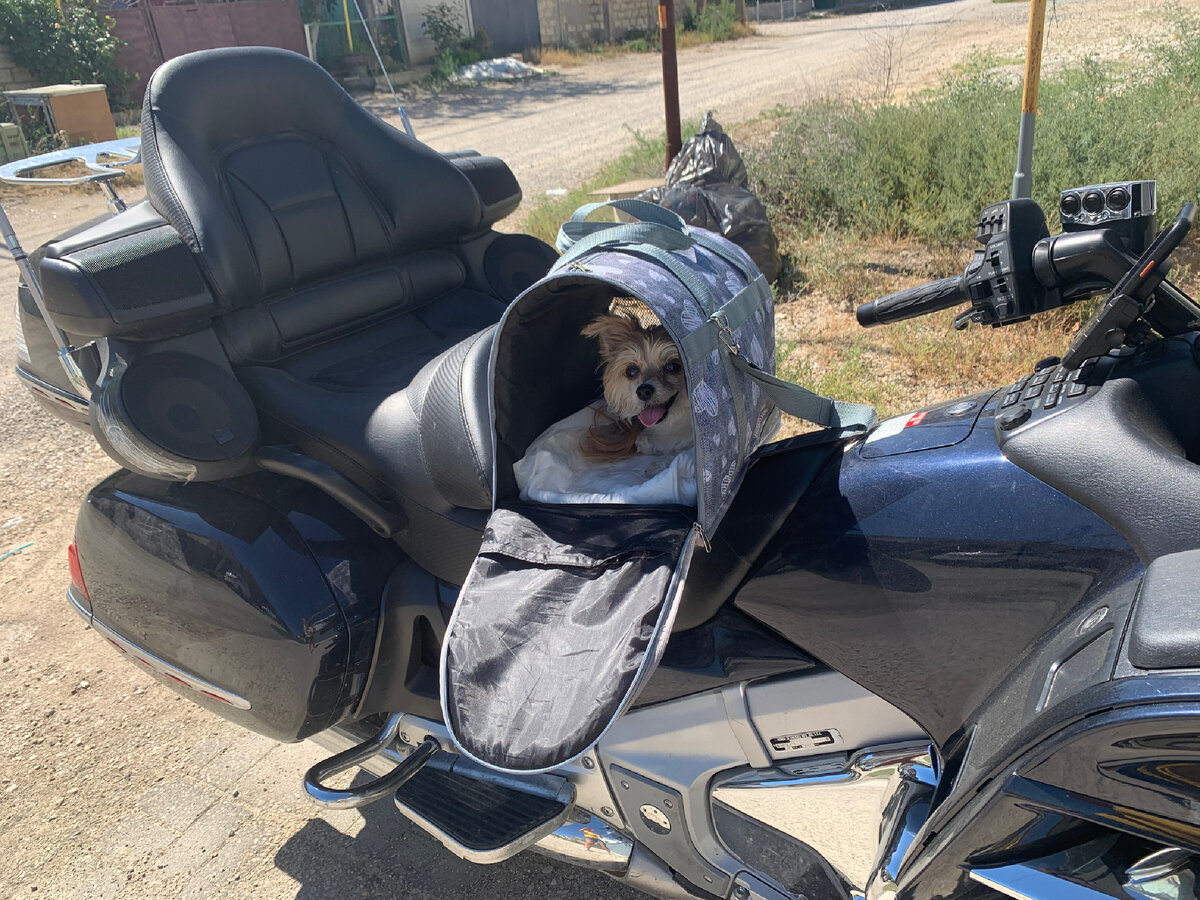 Вот так и катались)