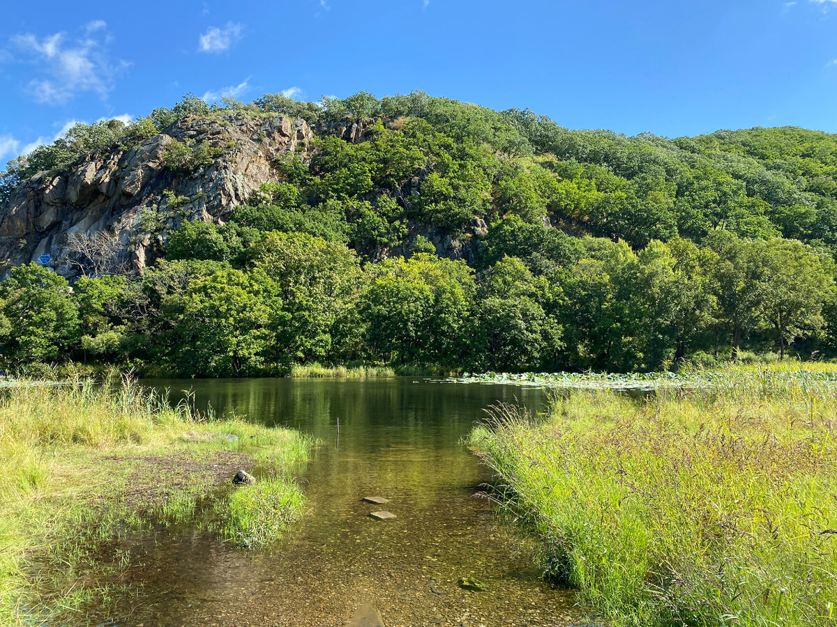 Итак, Змеиная сопка с видом на озеро с лотосами. 