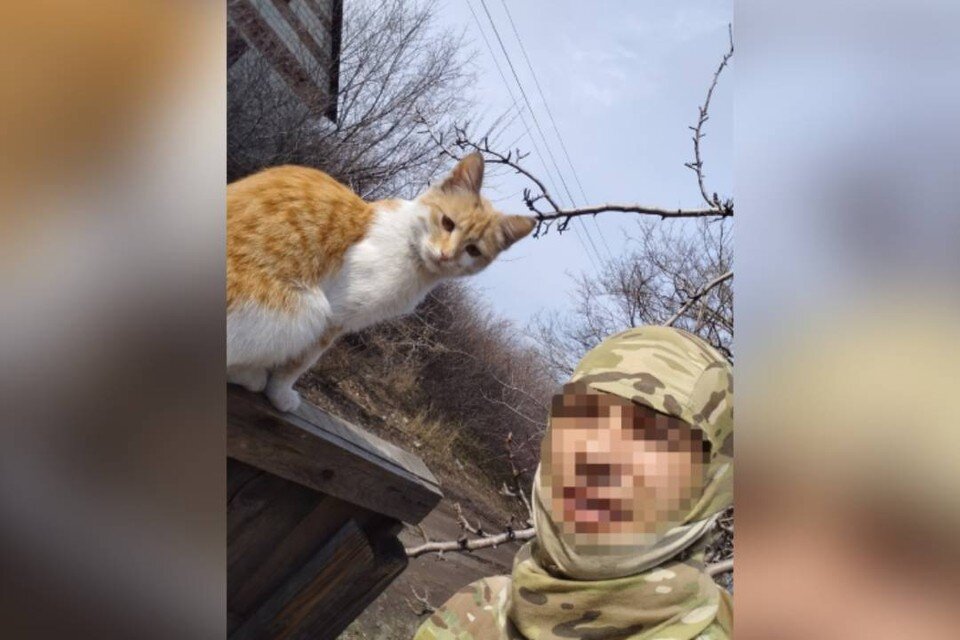    Мимо Рыжика не то, что мышь, враг не проскочит. Фото: из личного архива героя публикации