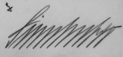 Подпись командира дивизии: Sinnhuber