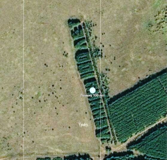 Лесополоса ленину 100 лет. Лес ленину 100 лет. Лес ленину 100 лет курганская область. "ленину 100 лет" (курганская обл. Надпись ленин из деревьев.