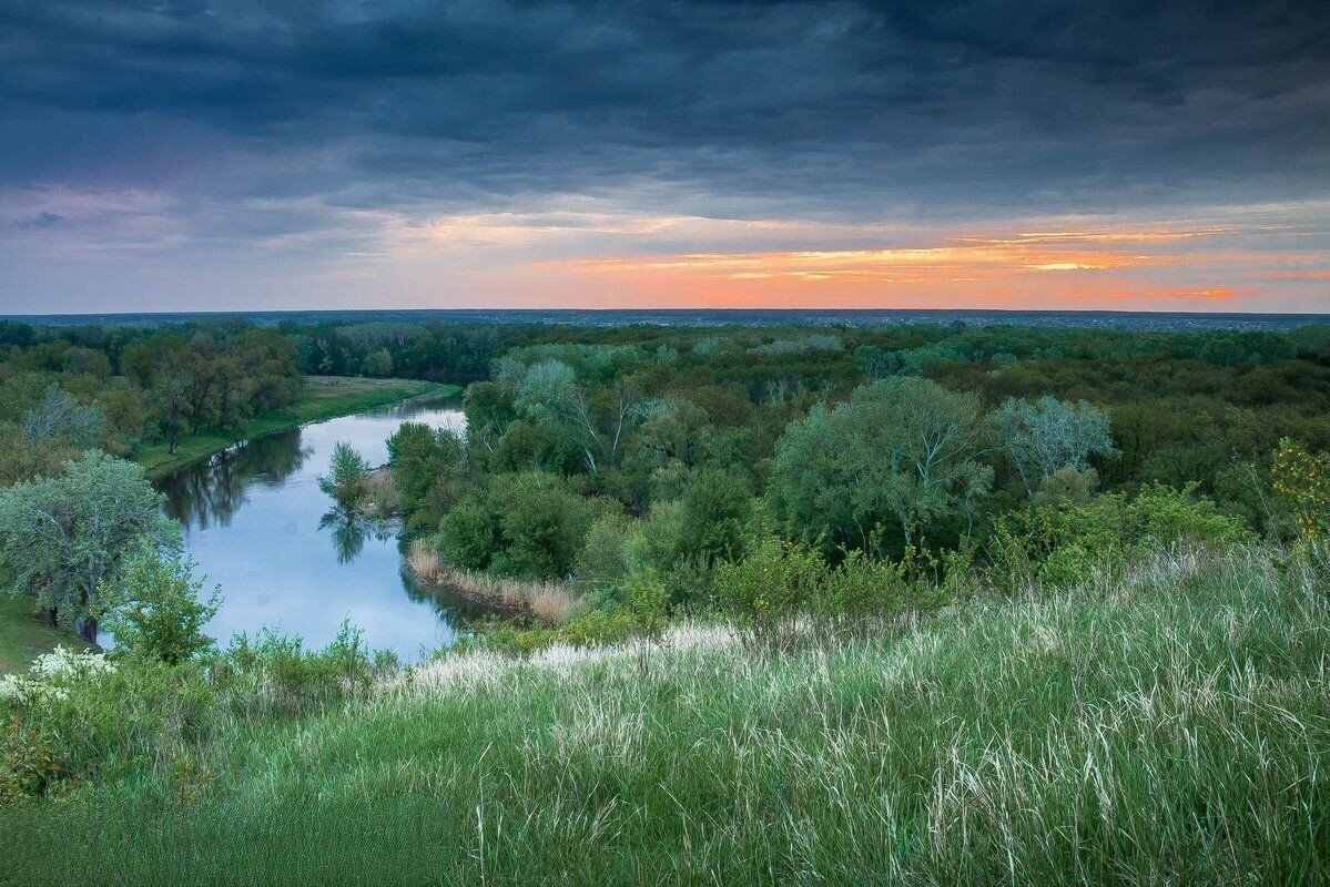 Фото из открытого источника Яндекс 