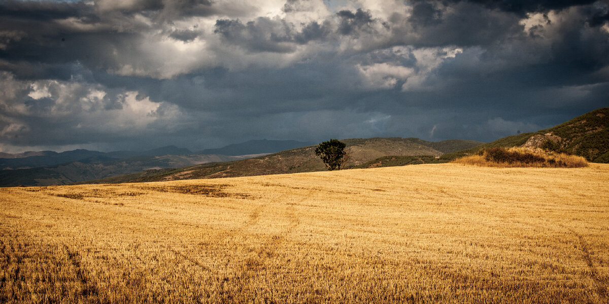 https://ru.freepik.com/free-photo/scenery-of-a-field-surrounded-by-hills-under-the-cloudy-sky_9991156.htm