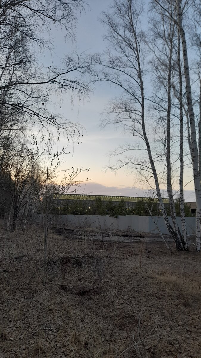 "Доброе утро, мир! Ты прекрасен!" Фото автора