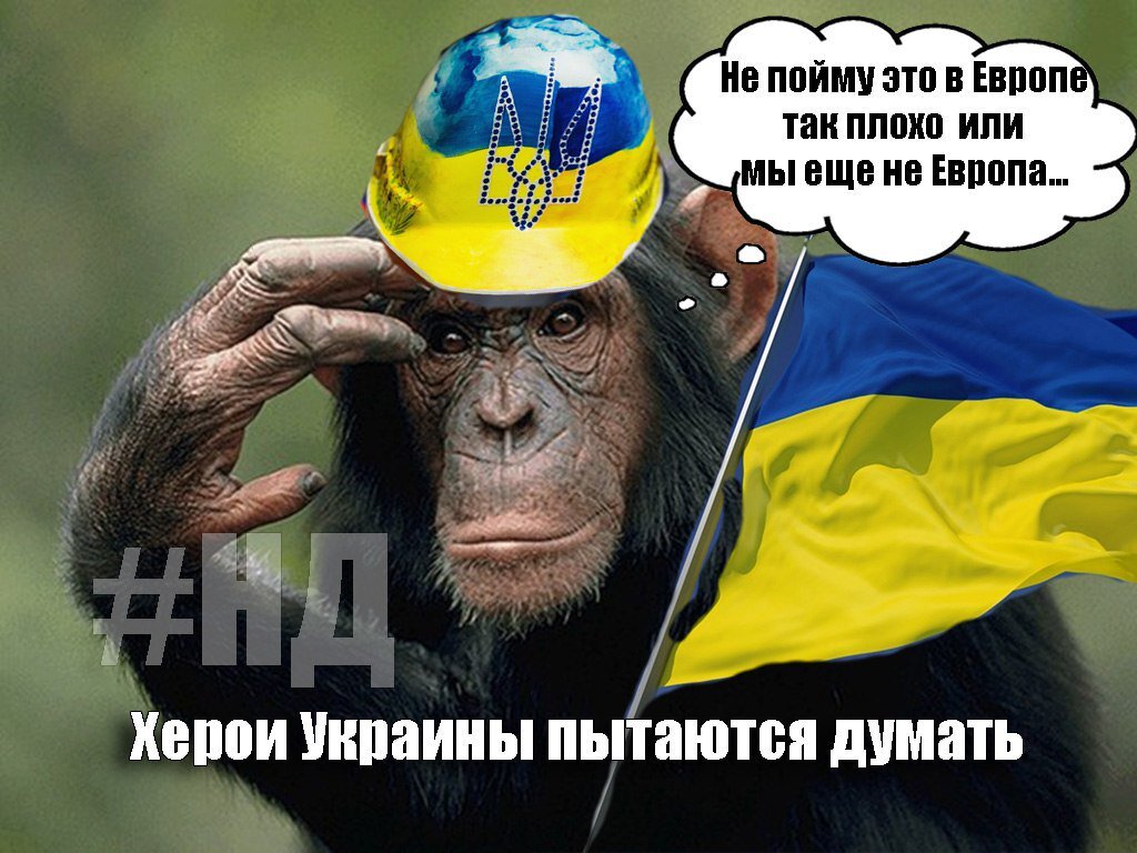 Укр щавший. Смешные мемы про украинц. Хохлы картинки. Приколы про украинцев. Картинки про Украину приколы.
