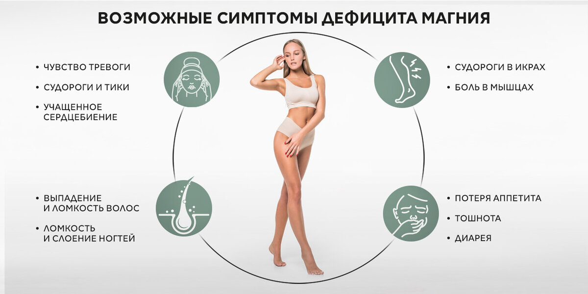 фото источник longlifensp.com