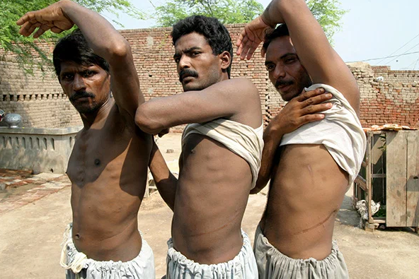 Мужчины здесь крепкие и красивые, потому они - хороший материал для донорства