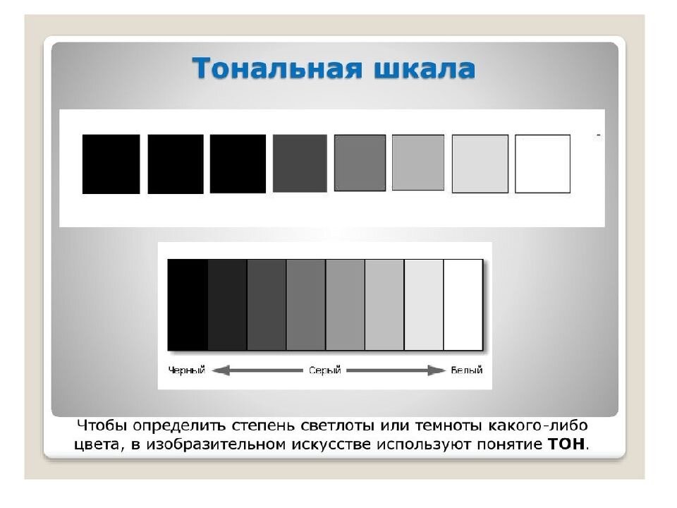 Тональный разбор в рисунке