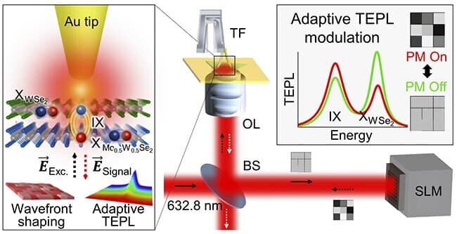    Способ работы нового транзистора / © POSTECH