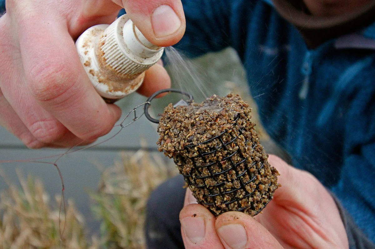 Добавление чесночного ароматизатора для ловли карася в прикормку. Источник фото activefisher.net