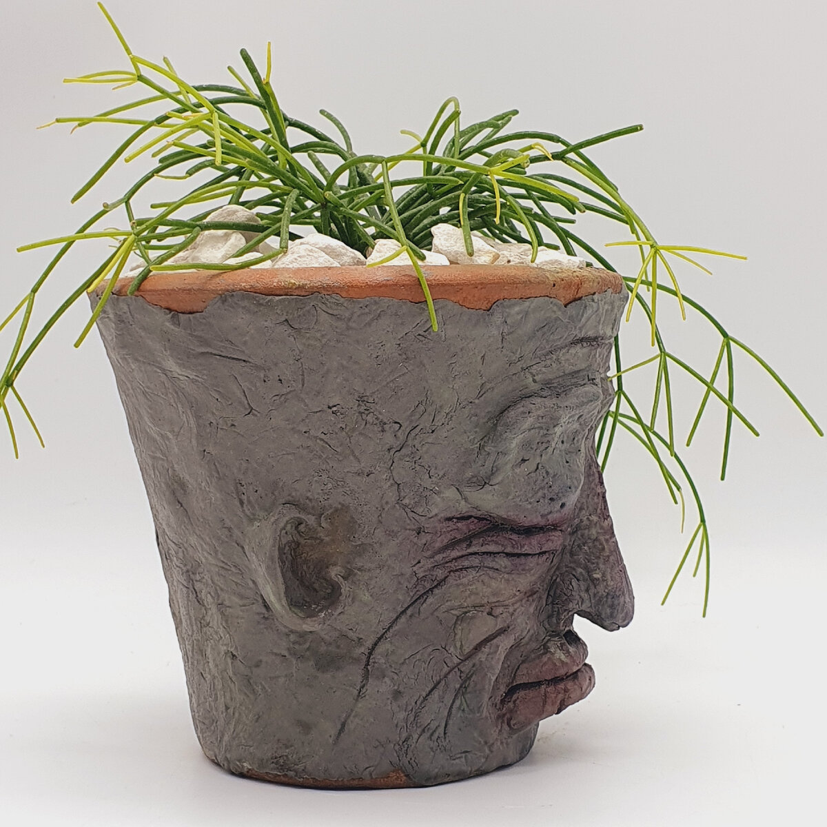 Фото автора: горшок с рипсалисом. Глина, самодельная масса, японская пастель, лак для камня.