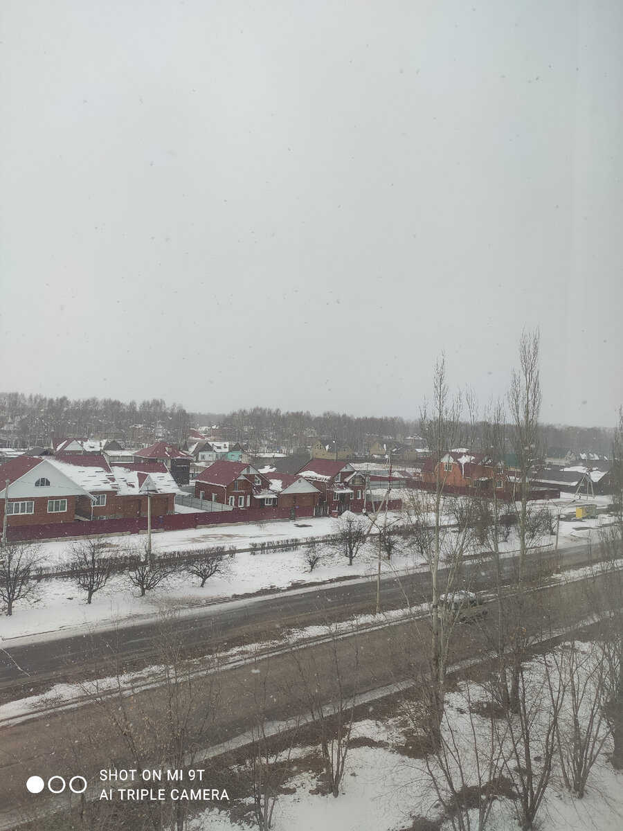 Погода за окном на сегодня