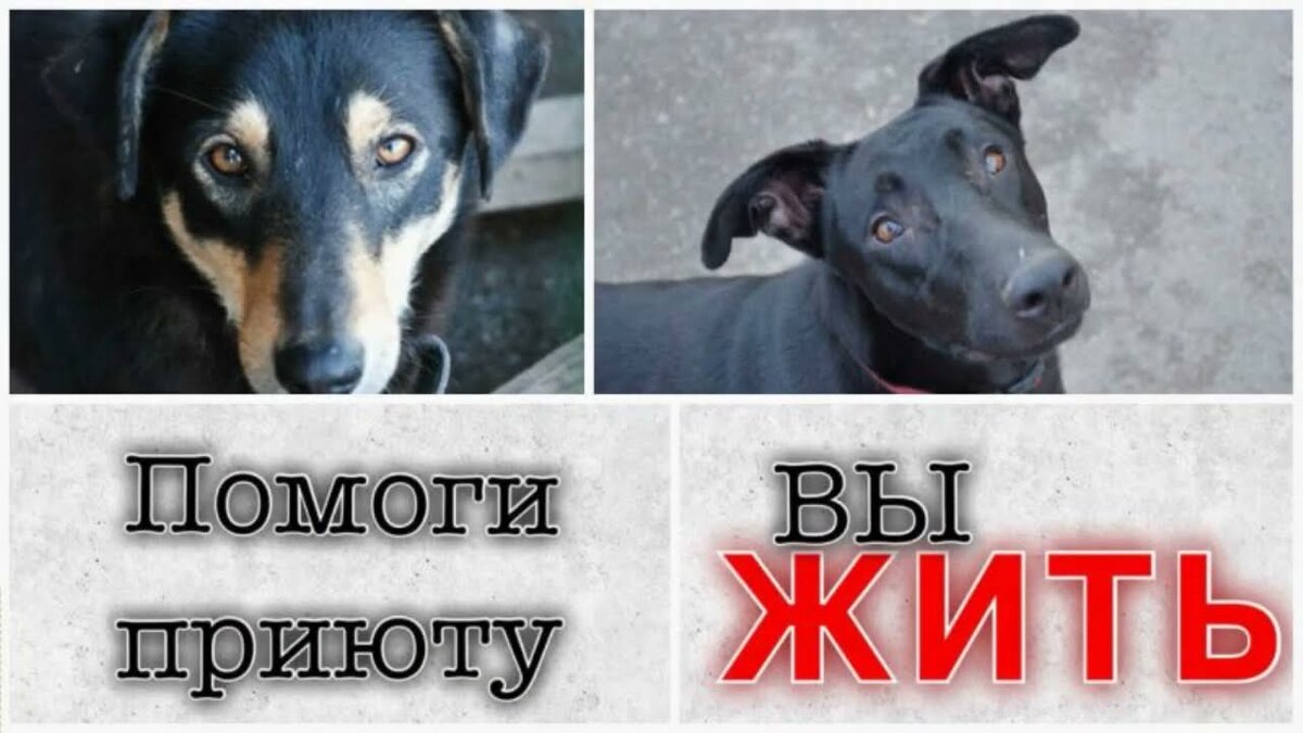 Из открытого источника