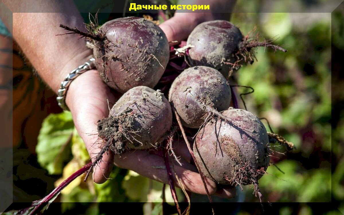 Регулирование полива