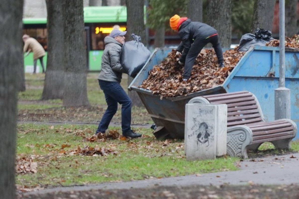    45 территорий уберут в Псковской области в ходе Всероссийского субботника