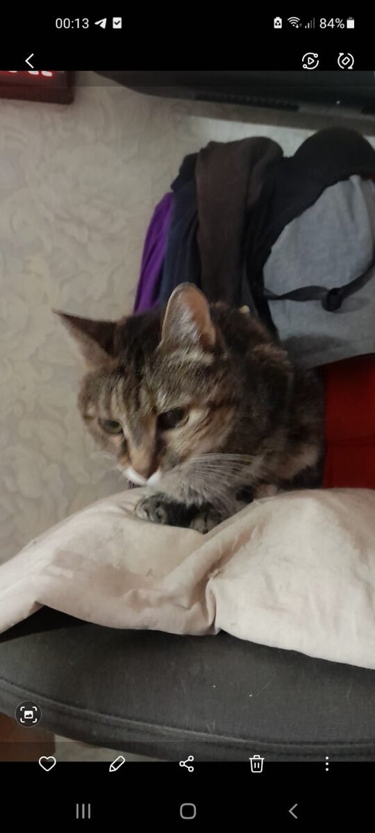 Старушечка Муся