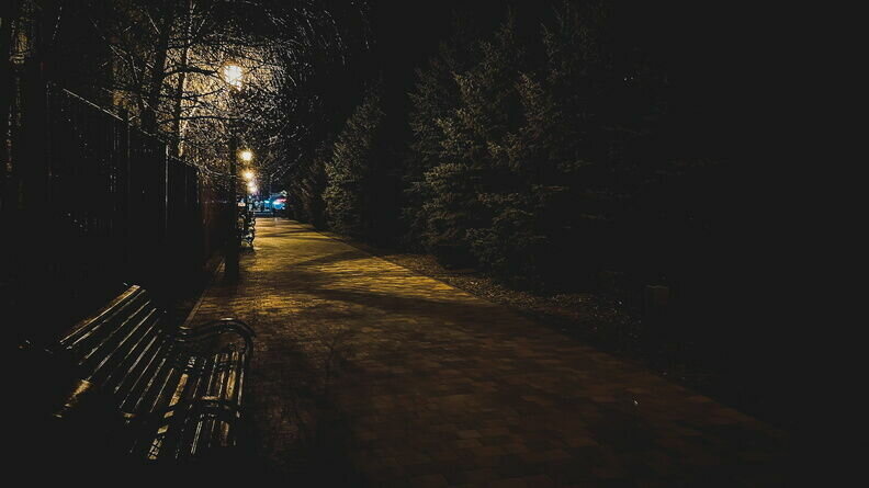     Жители Ростова-на-Дону заметили в городе крыс огромных размеров, сообщили они в соцсети «ВКонтакте».