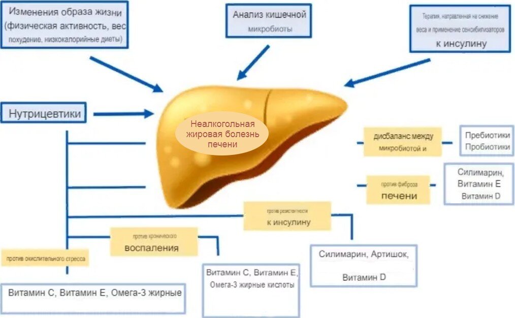 Жировая болезнь печени диагностика