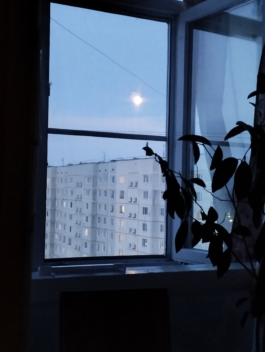 Фото автора. Полнолуние, Луна красавица.