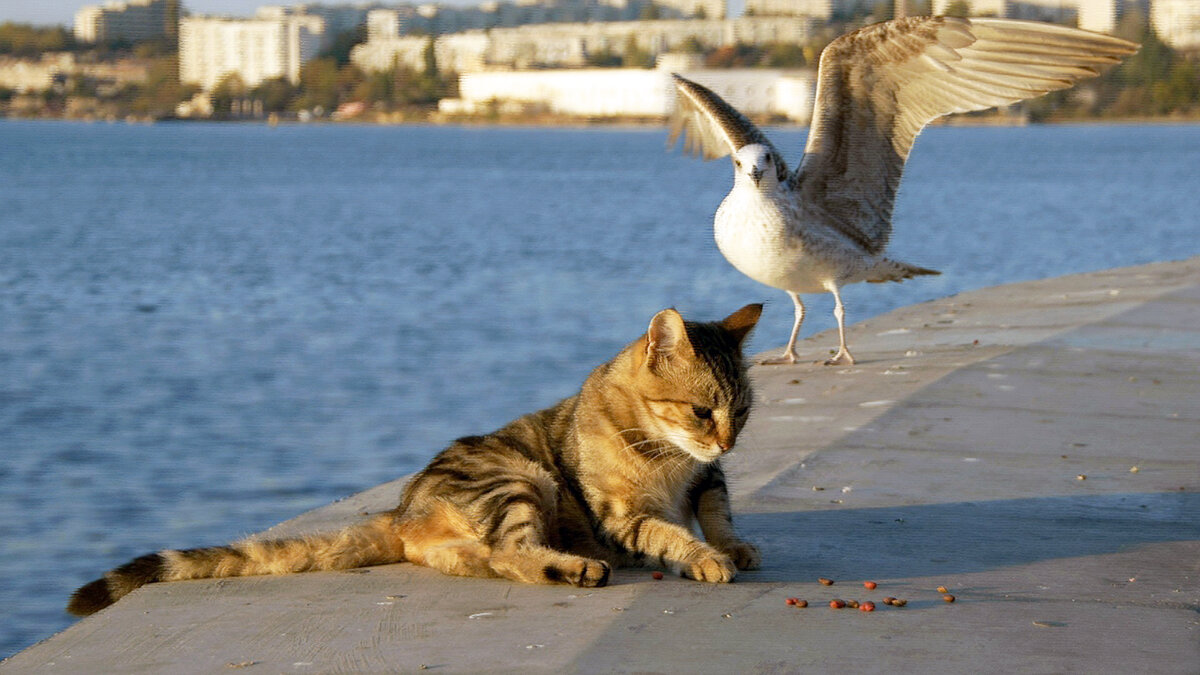 источник фото: zastavki.com