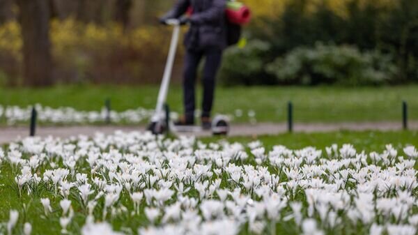    © Photo : Social media page of Vilniaus miesto savivaldybė