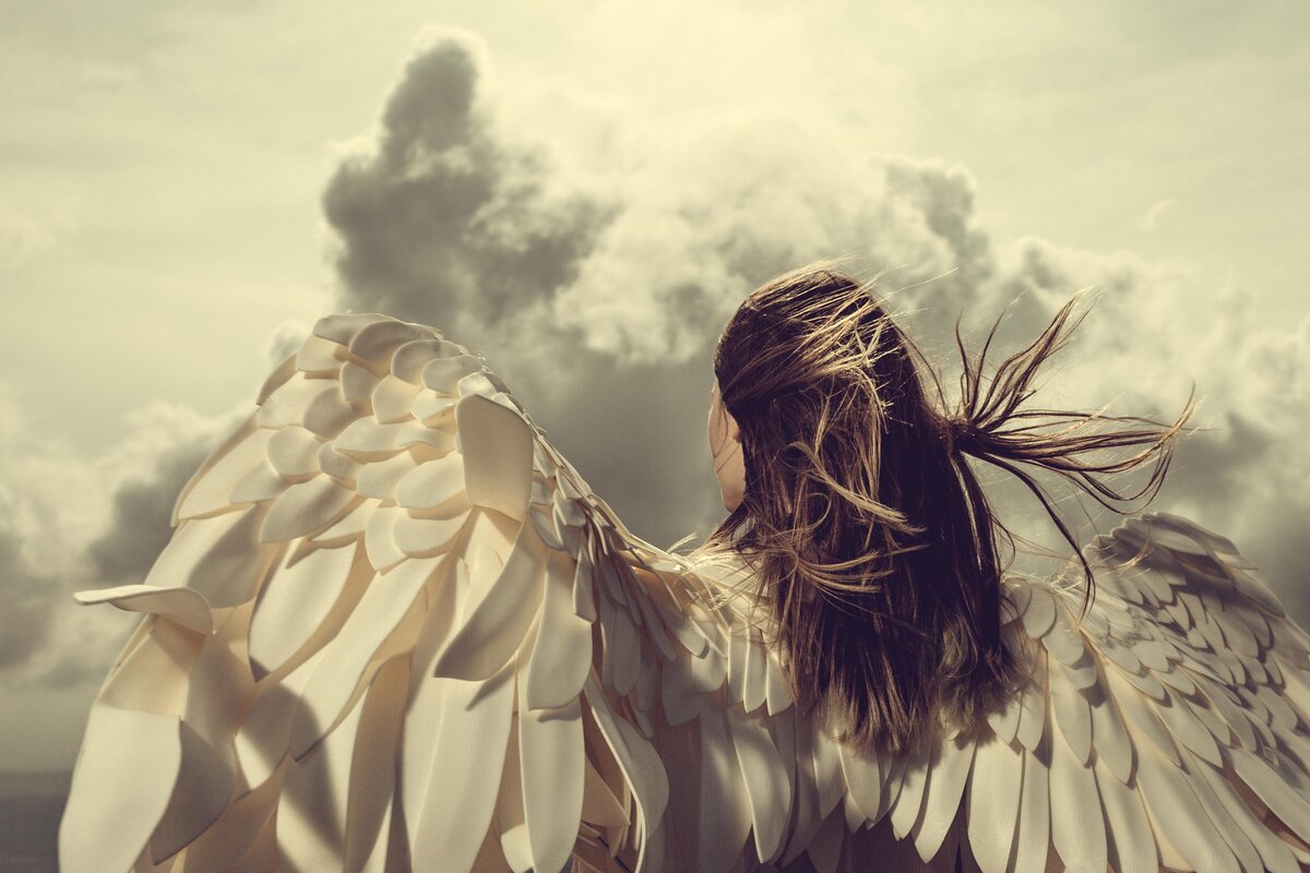    фото: Shutterstock/Fotodom.ru