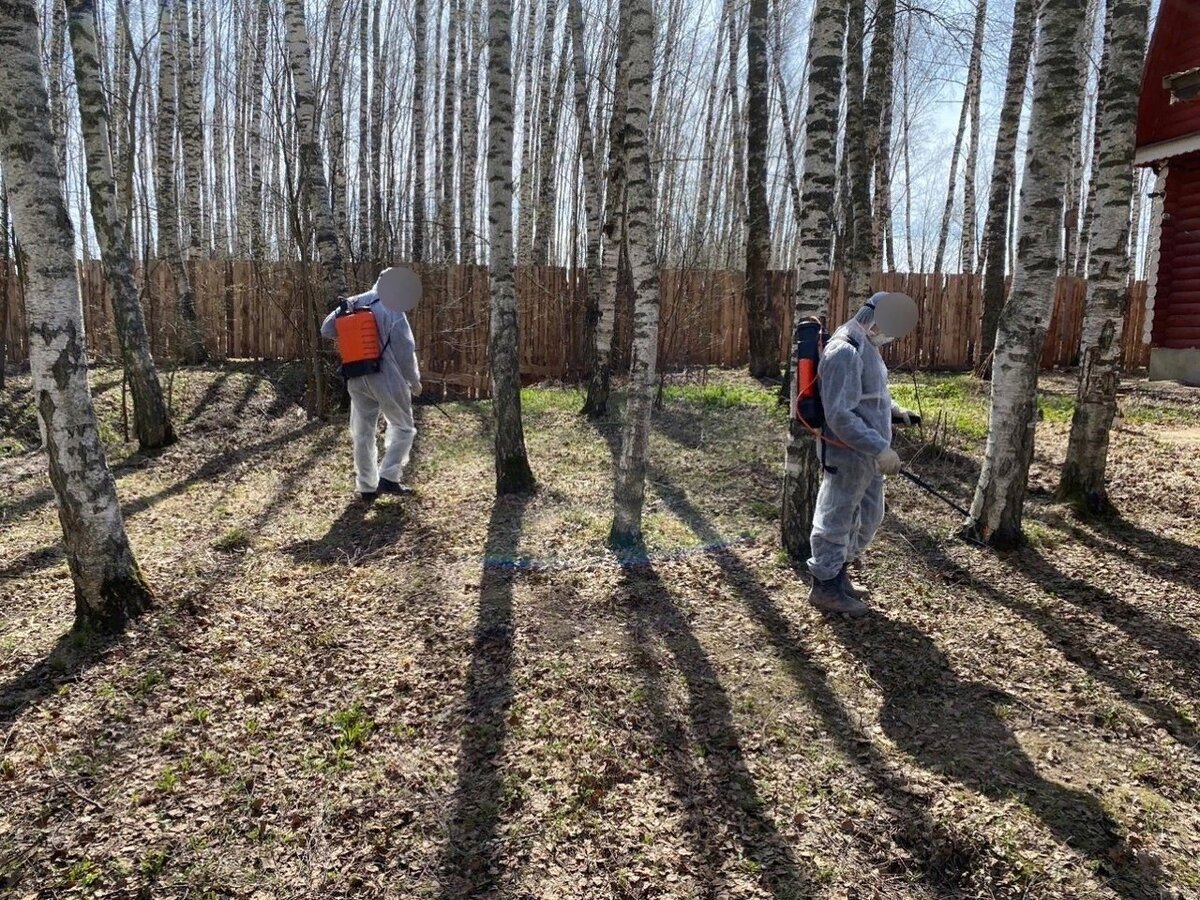 Реабилитационный центр "Верный шаг"в Нижнем Новгороде