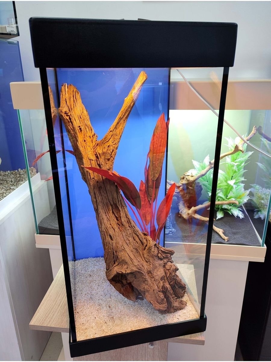 Аквариум вида "Колонна"