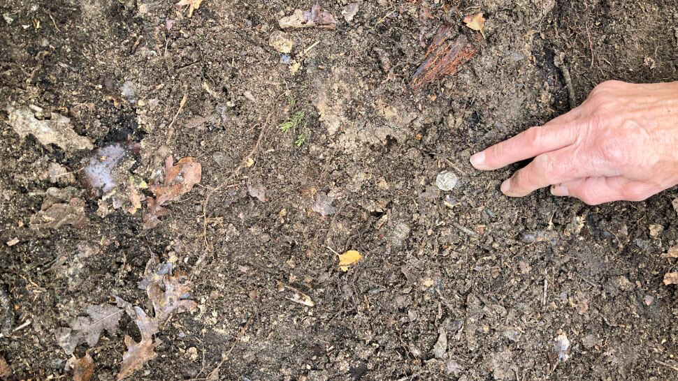 Римский денарий на земле